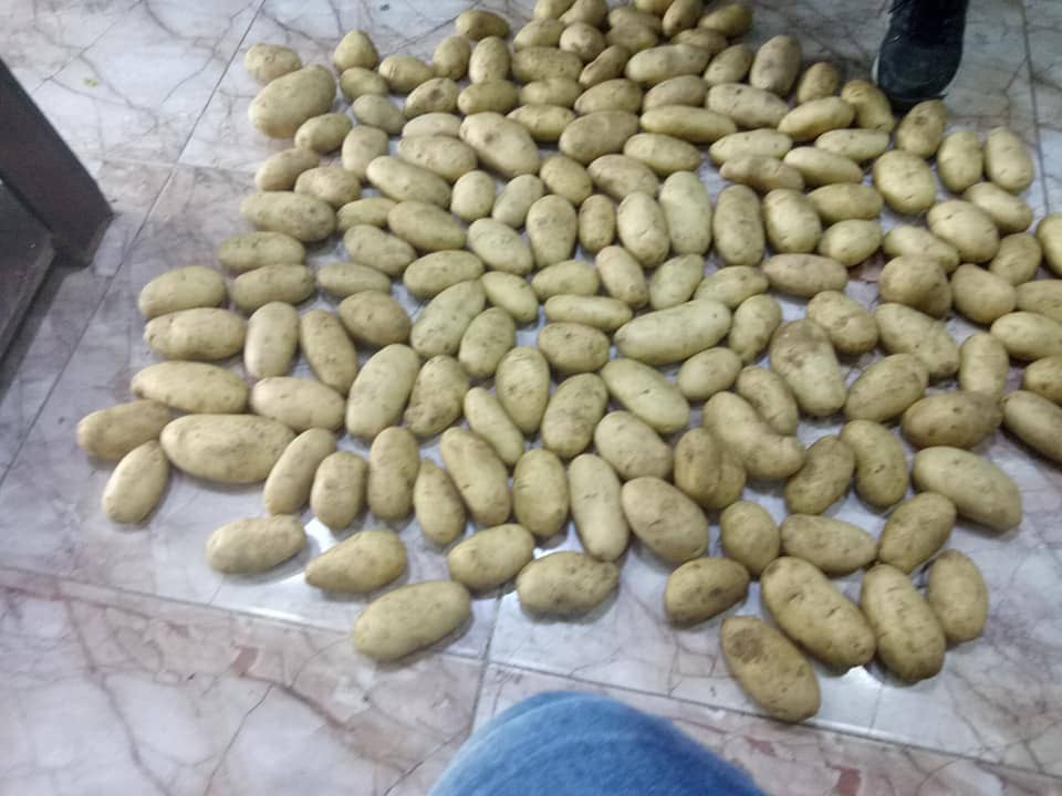 Aton Green Egypt Fresh Fruits & Vegetables